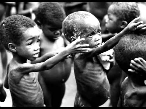 Feed Africa Project